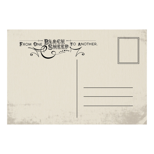Black Sheep Post Card